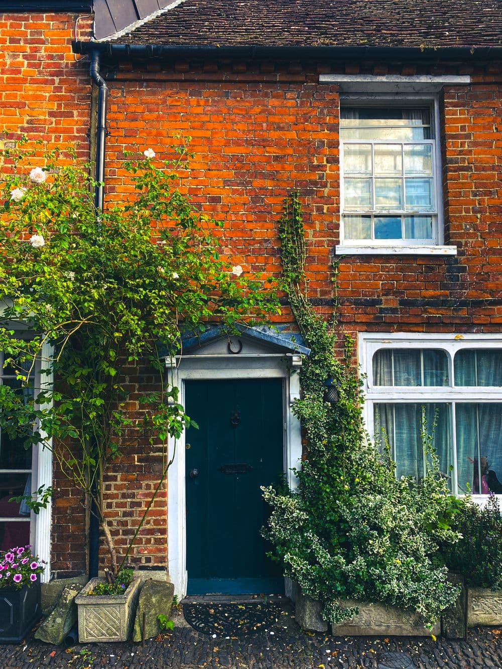 A red brick English house front with climbing roses
